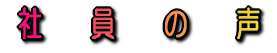 社 員 の 声